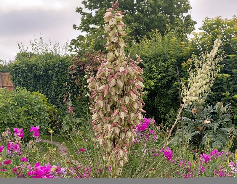 Burwell Village Gardens