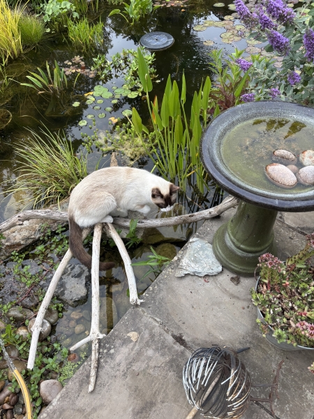 3 St John’s Street