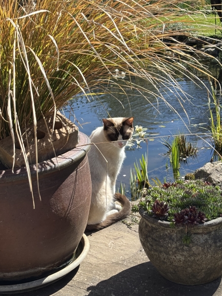 3 St John’s Street