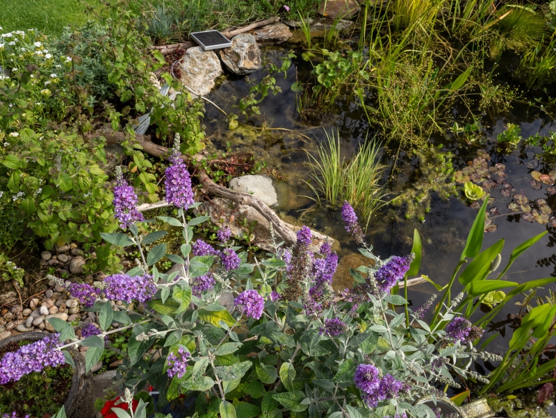 3 St John’s Street