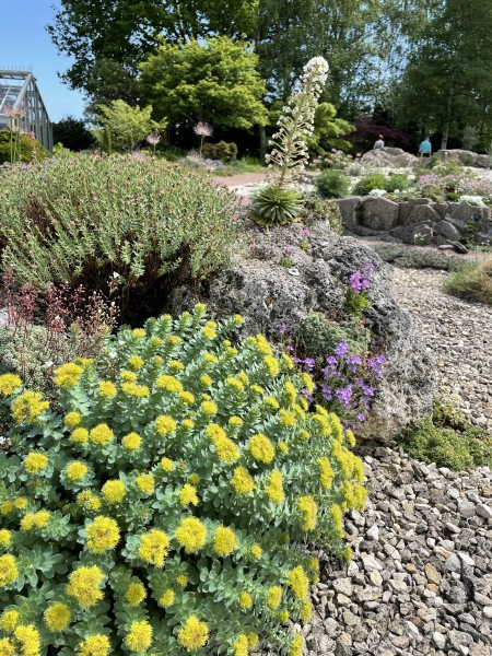 The Alpine Garden Society