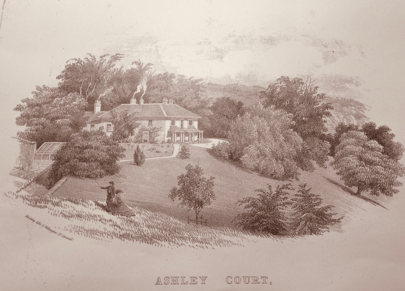 Ashley Court