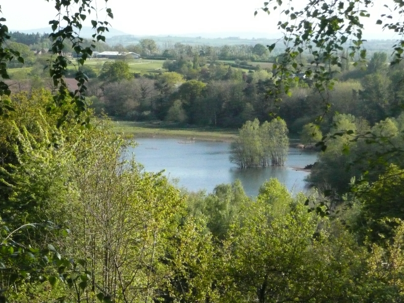 Dinmore Gardens image