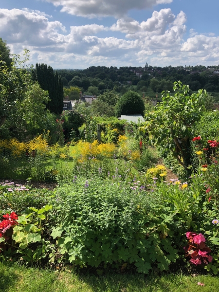 Terrace House Garden