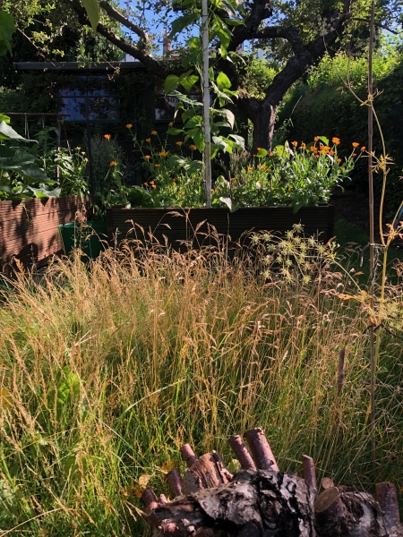 Terrace House Garden