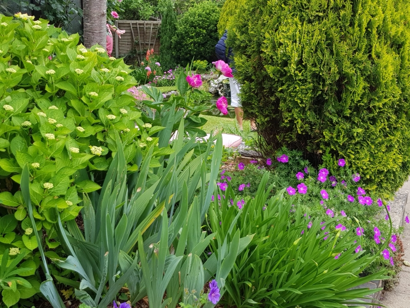 Tuffley Gardens