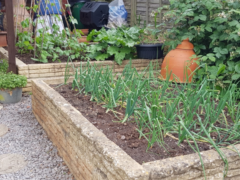 Tuffley Gardens