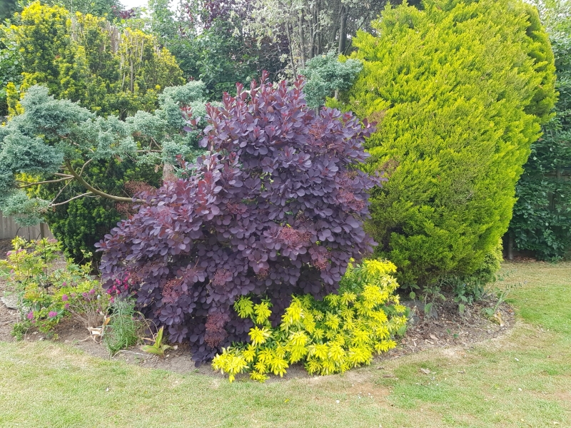 Tuffley Gardens