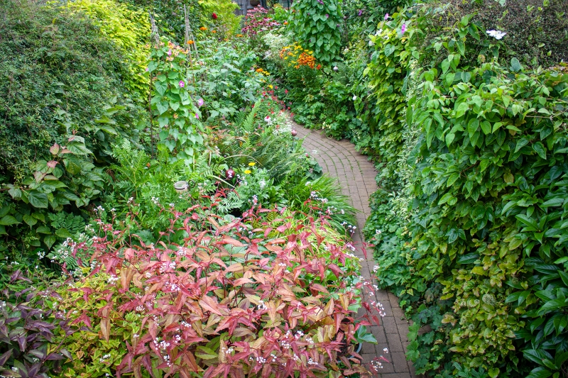 Whitstable Town Gardens