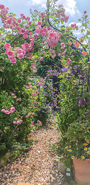 Whitstable Town Gardens