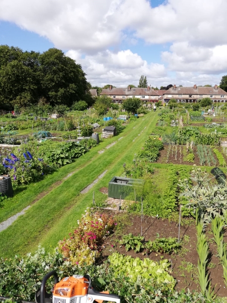 Anne Turner Memorial Allotments image