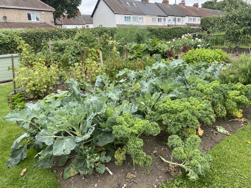 Anne Turner Memorial Allotments