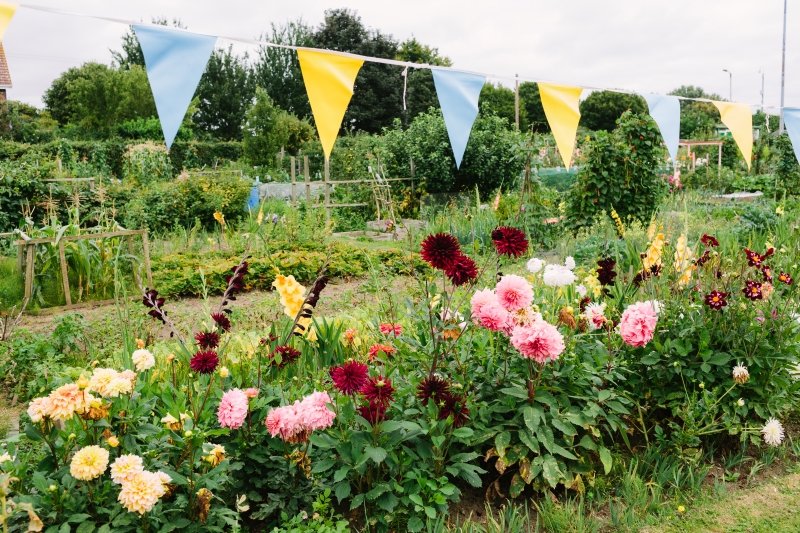 Anne Turner Memorial Allotments