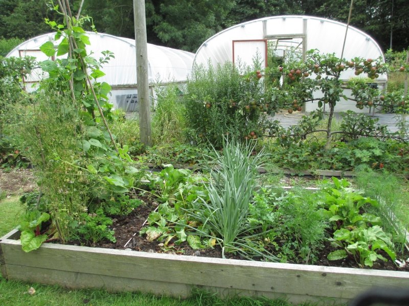 Cultivate Community Garden