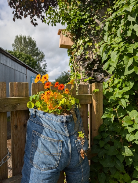 Cultivate Community Garden