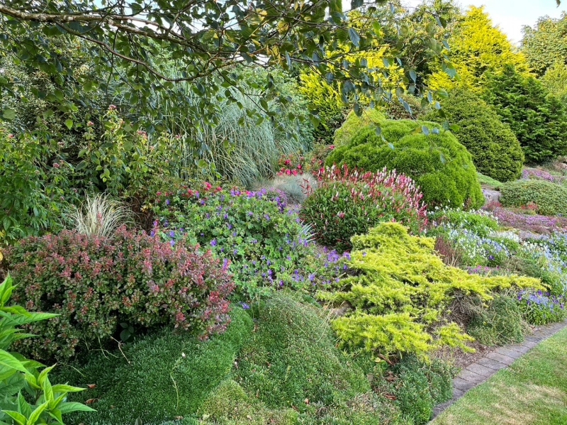 Beechmount House Garden