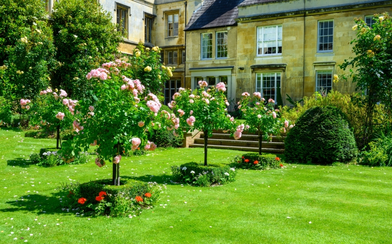 King's College Fellows' Garden and Provost's Garden