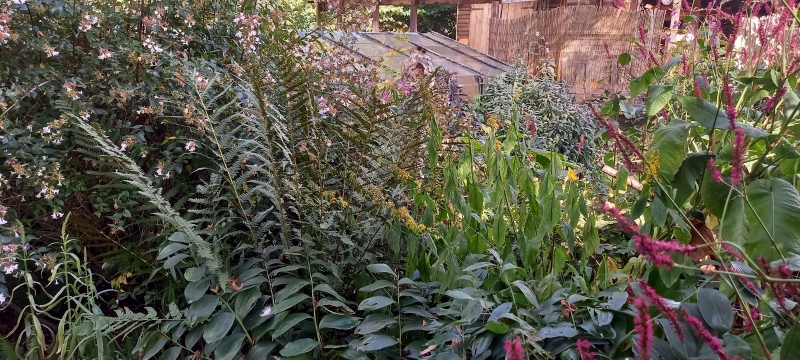 Cobweb Cottage