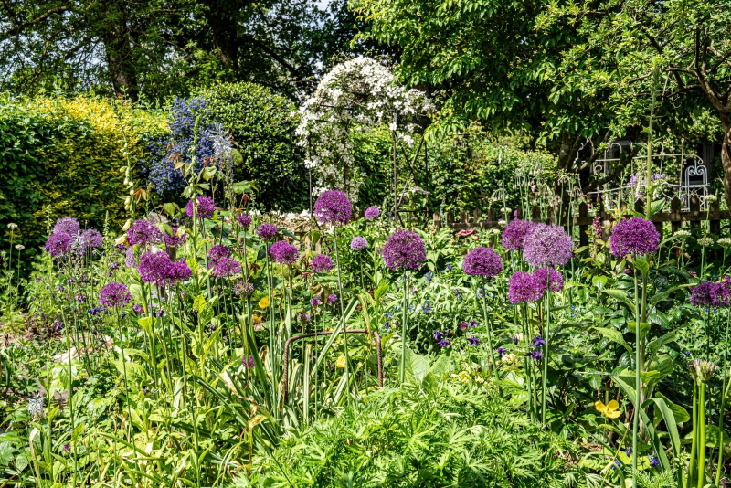 Brambley Hedge