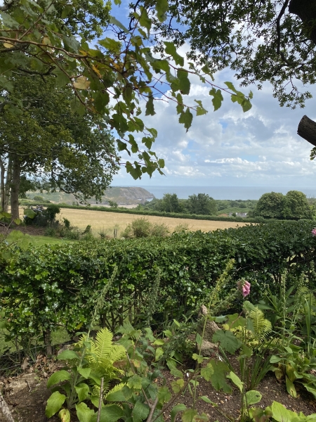 Mulberry Hill