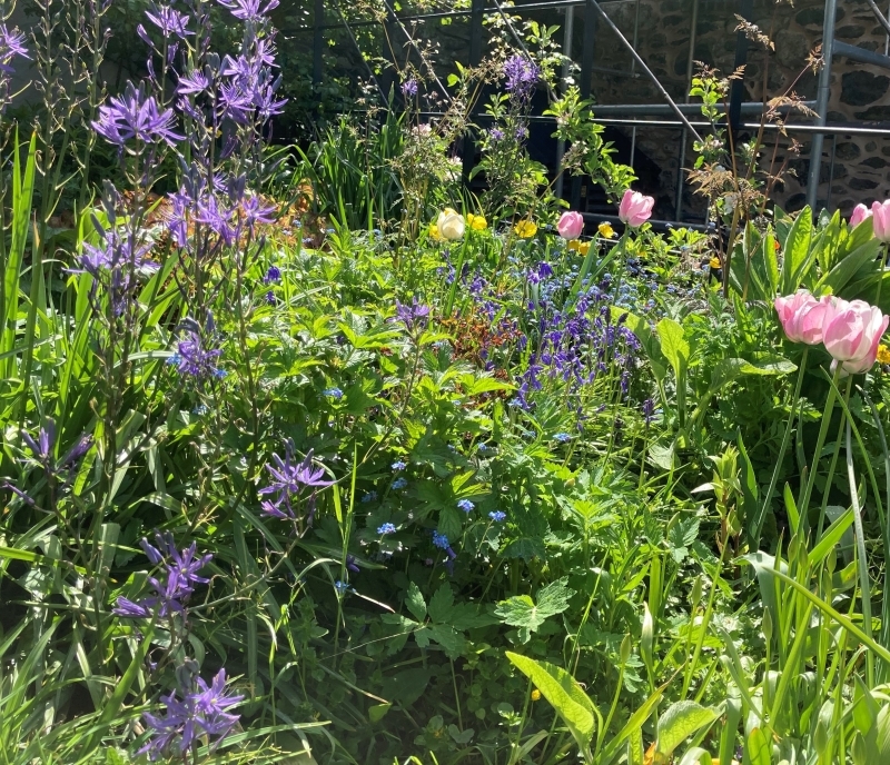 Llanrhaeadr Ym Mochnant Gardens