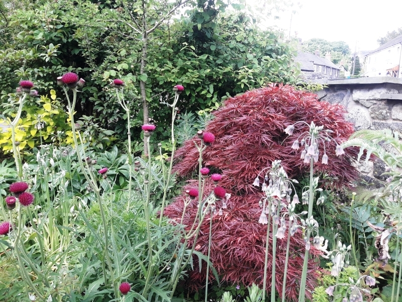 Llanrhaeadr Ym Mochnant Gardens