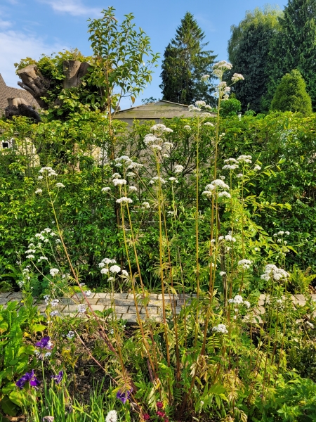Garden House