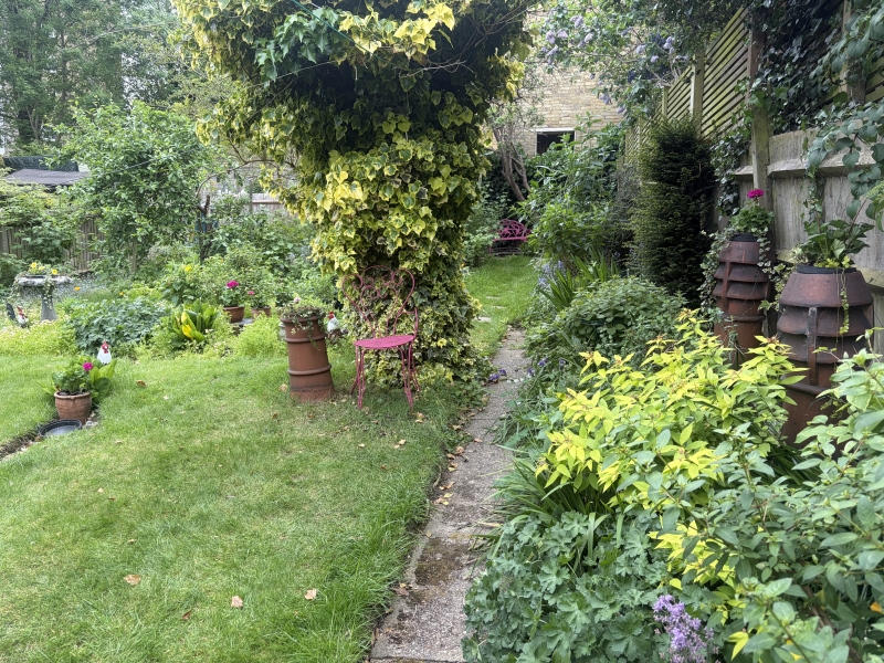 35 Netherby Road