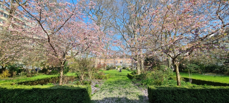 Gloucester Square Garden