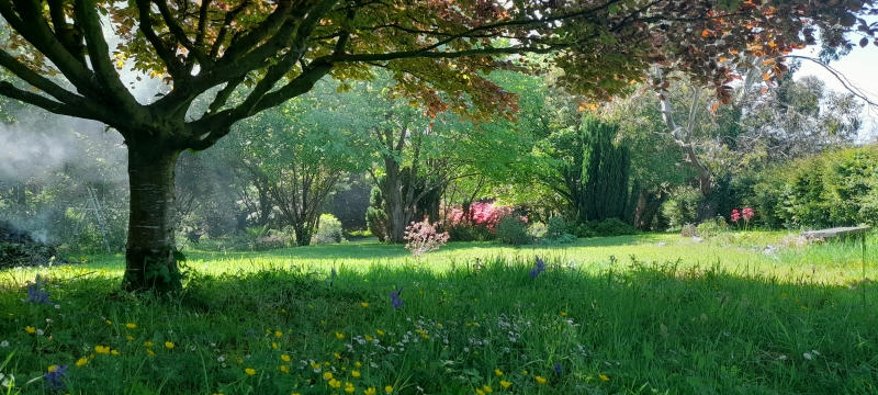 85 Thornyhill Road image