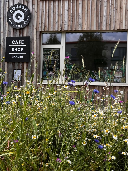 The Squash Cafe Garden