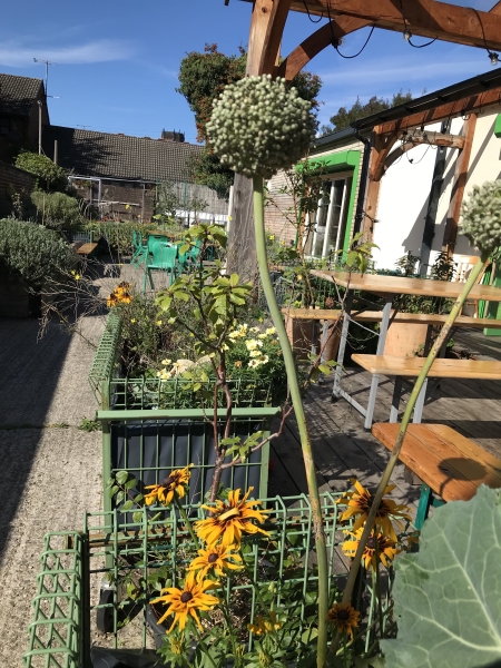 The Squash Cafe Garden