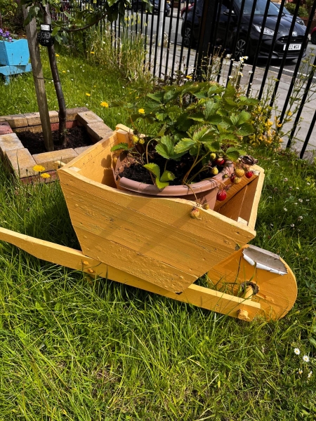 Pakistan Association Liverpool Wellbeing Garden