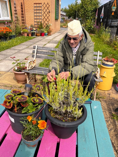 Pakistan Association Liverpool Wellbeing Garden