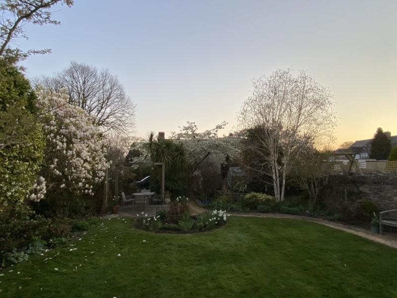 5 Roseberry Place - Penarth | NGS Gardens