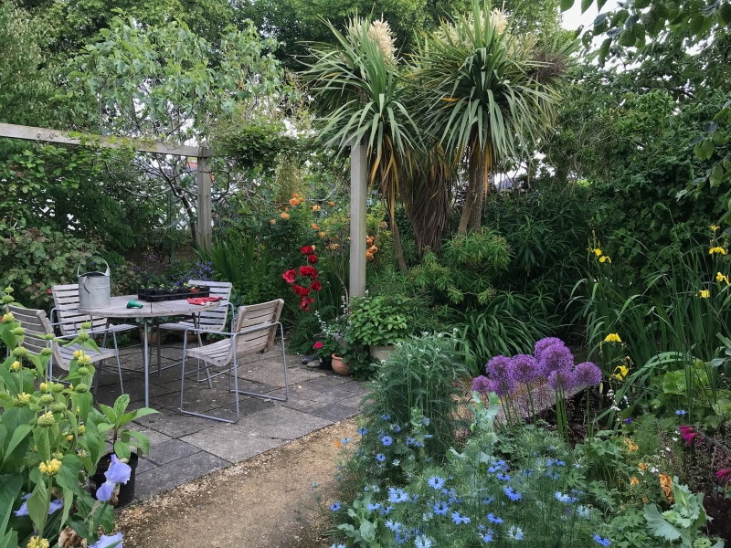 5 Roseberry Place - Penarth | NGS Gardens