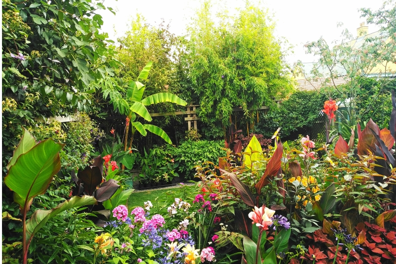 Silsoe Village Gardens