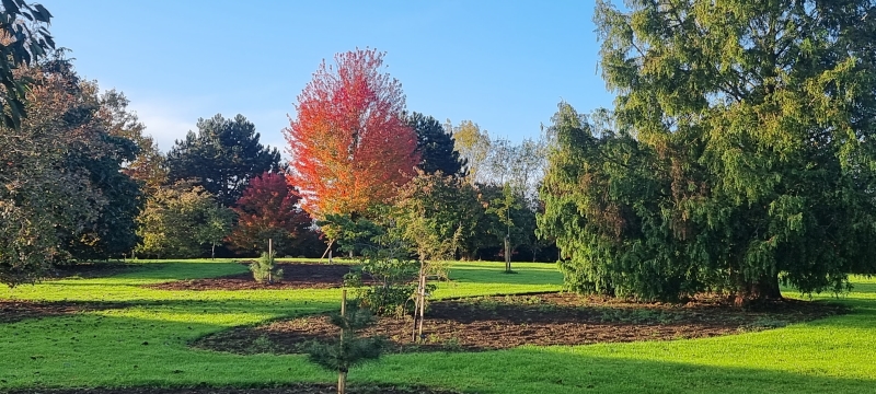 Newbury Farm Arboretum