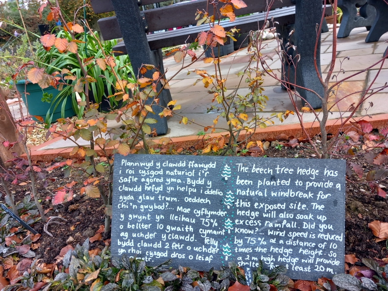 The Caerphilly Miners Community Centre - Climate Change Garden