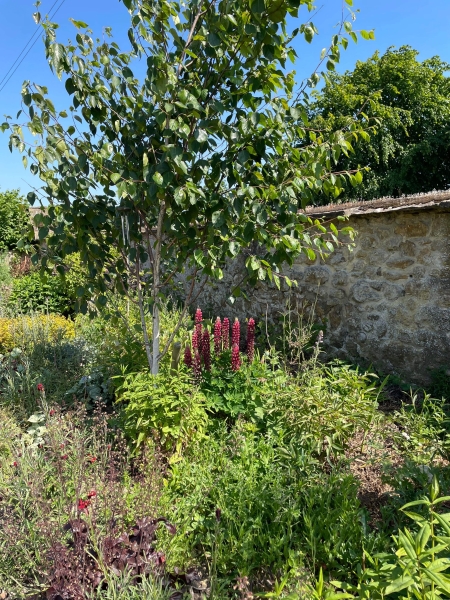 The Cottage Garden at Jordans Courtyard