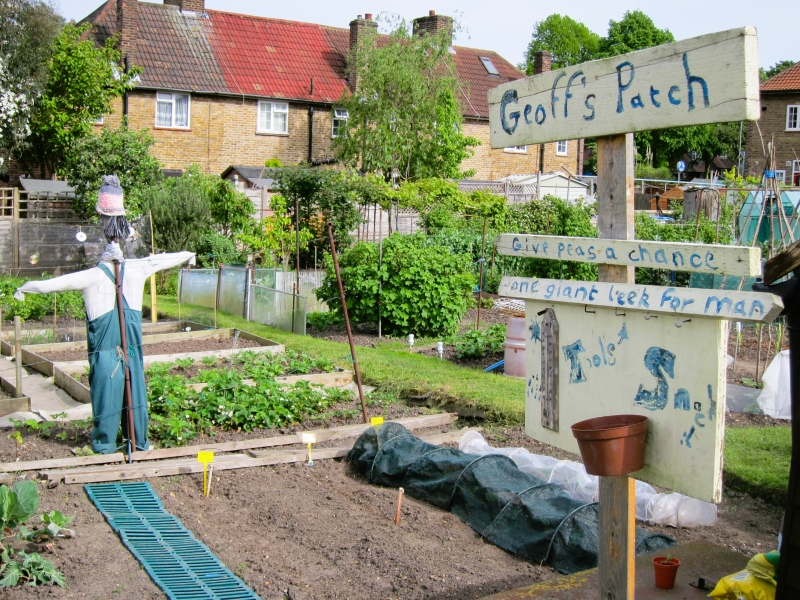 Roehampton Garden Society Allotments