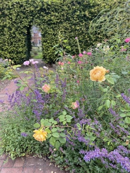 Paddock Wood - Kilham | NGS Gardens