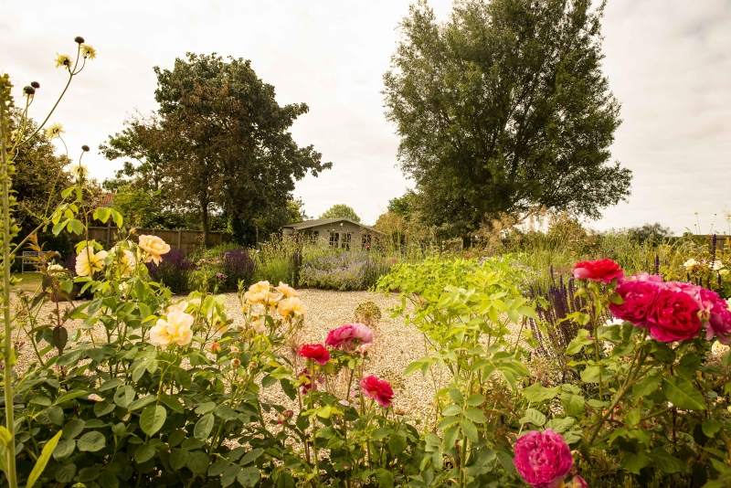 The White Cottage