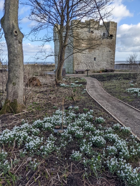 Cresswell Pele Tower Walled Garden