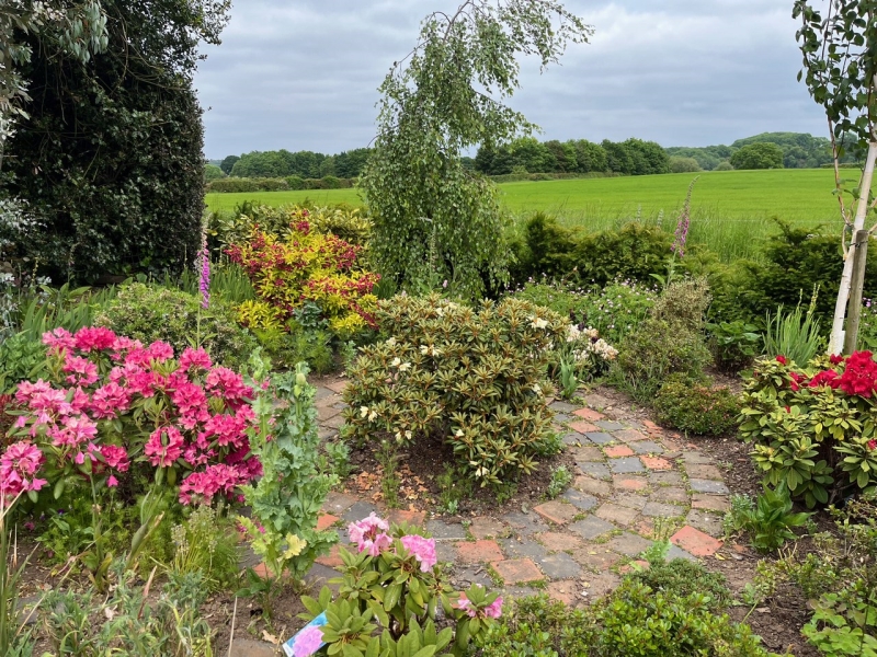 Hoveringham Gardens image