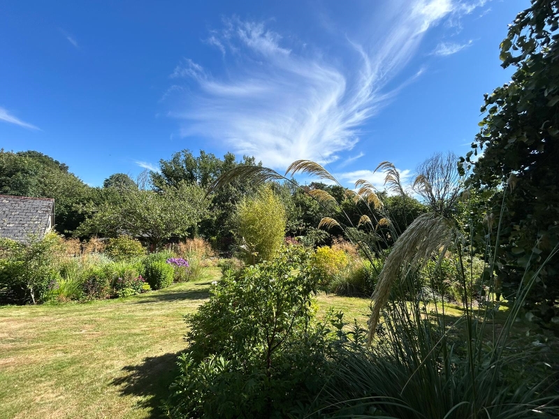 Cuckoo Hall