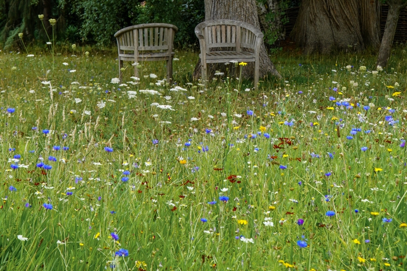 The Old Rectory, Pulborough