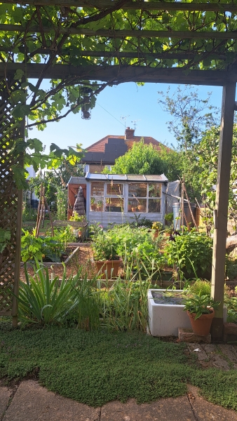 96 Queens Road