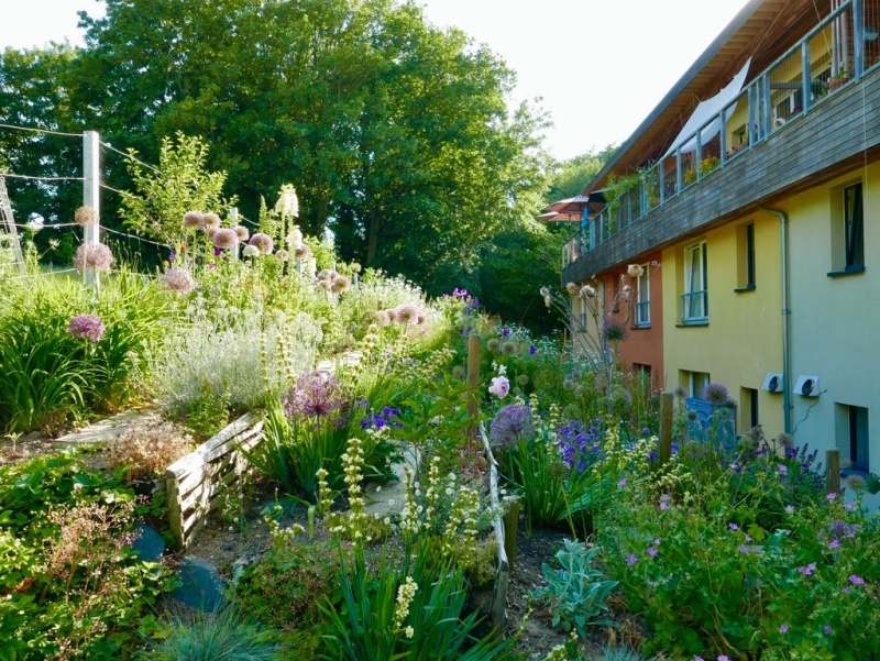 Cannock Mill Cohousing Gardens image