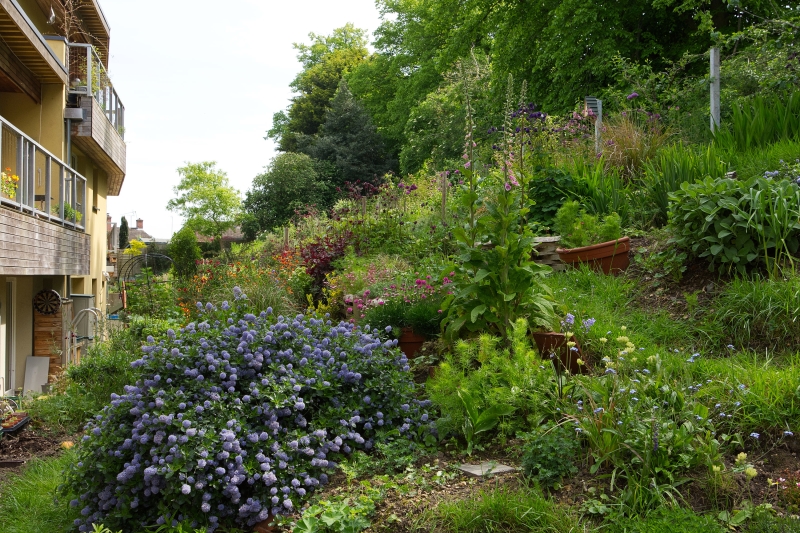 Cannock Mill Cohousing Gardens